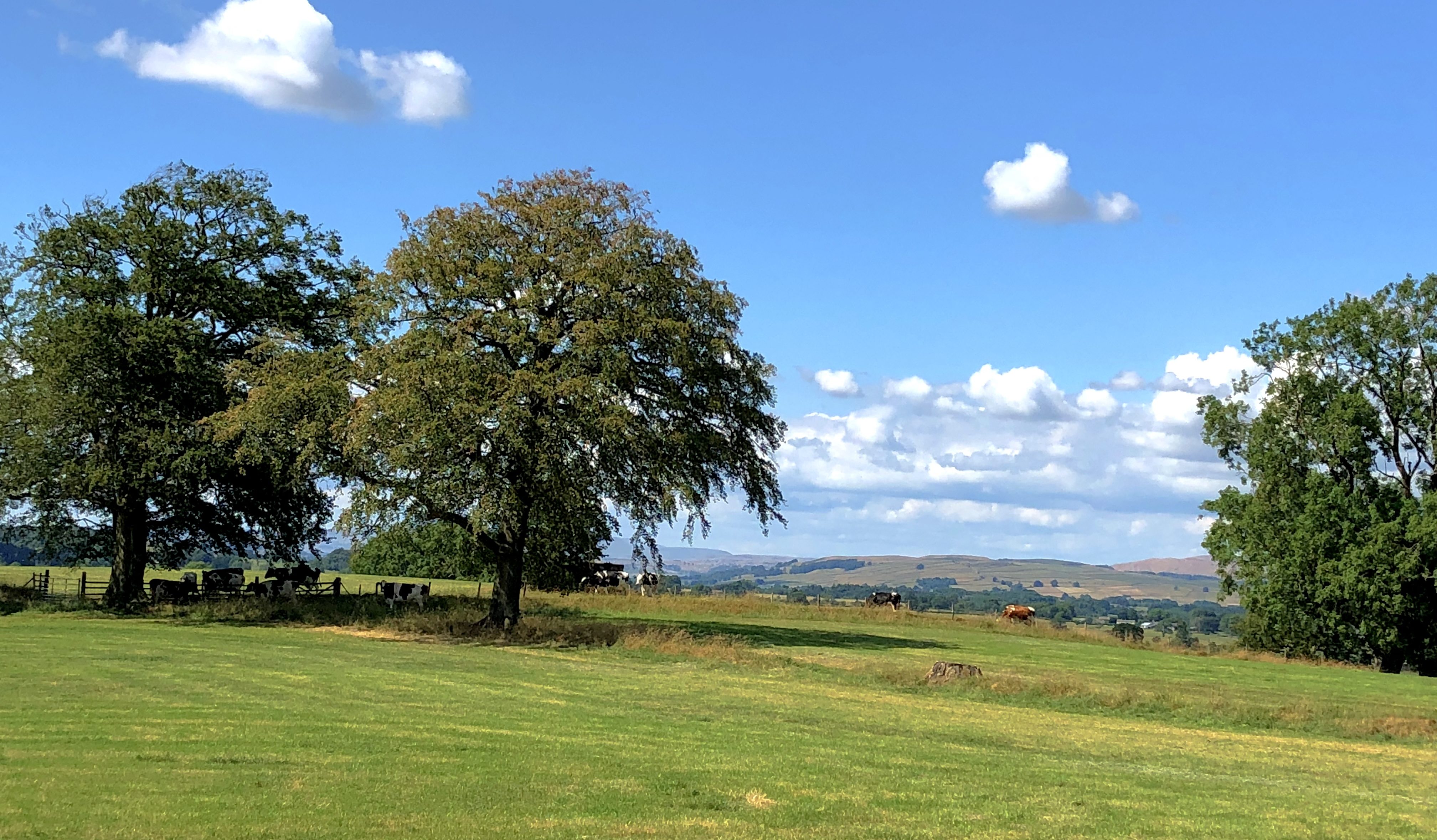 Yorkshire Dales Nationalpark