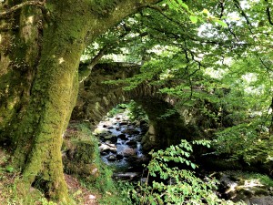 Alte Steinbrücke bei Talybont