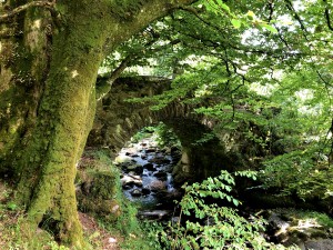 Alte Steinbrücke bei Talybont