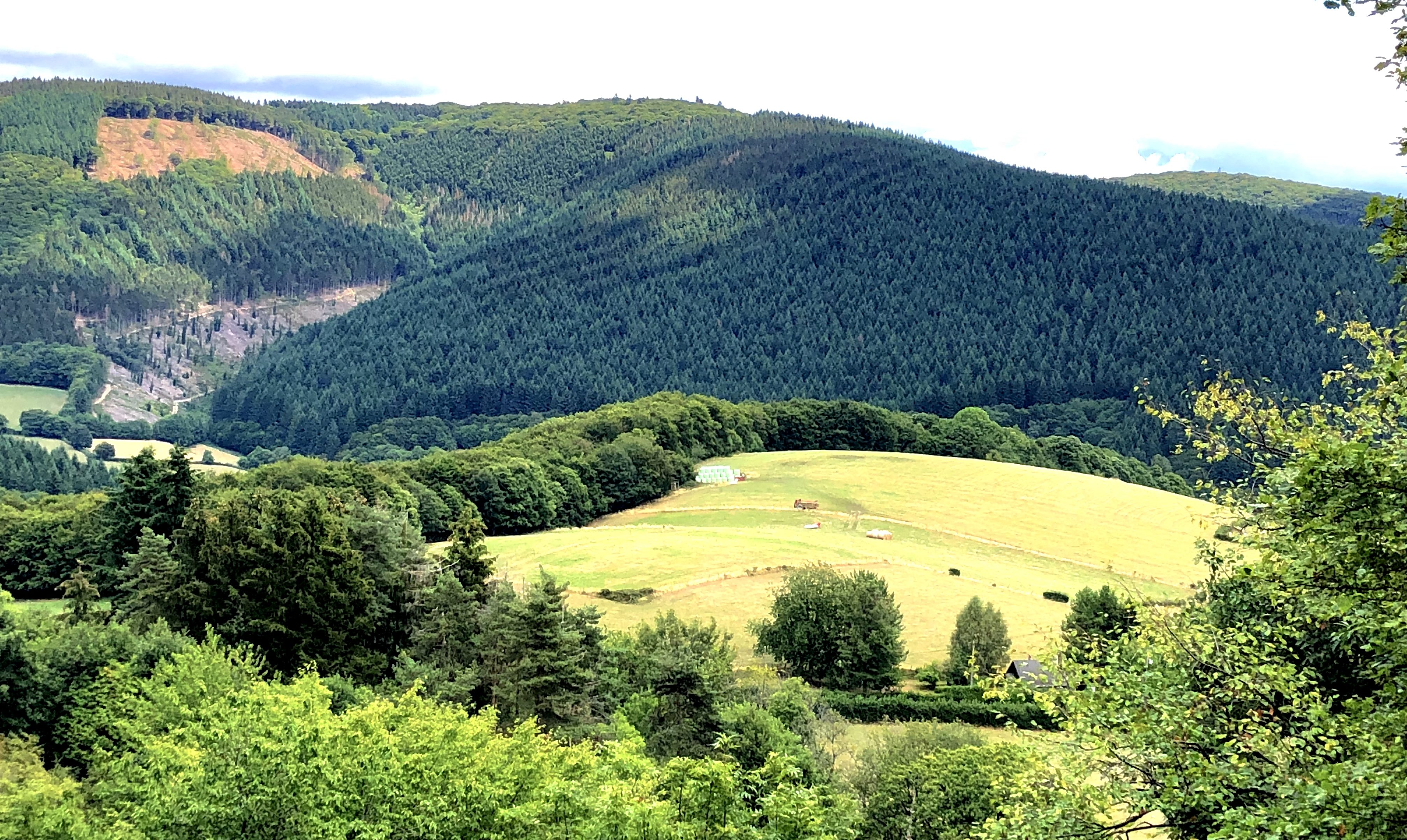 Landschaft in der nördlichen Auvergne