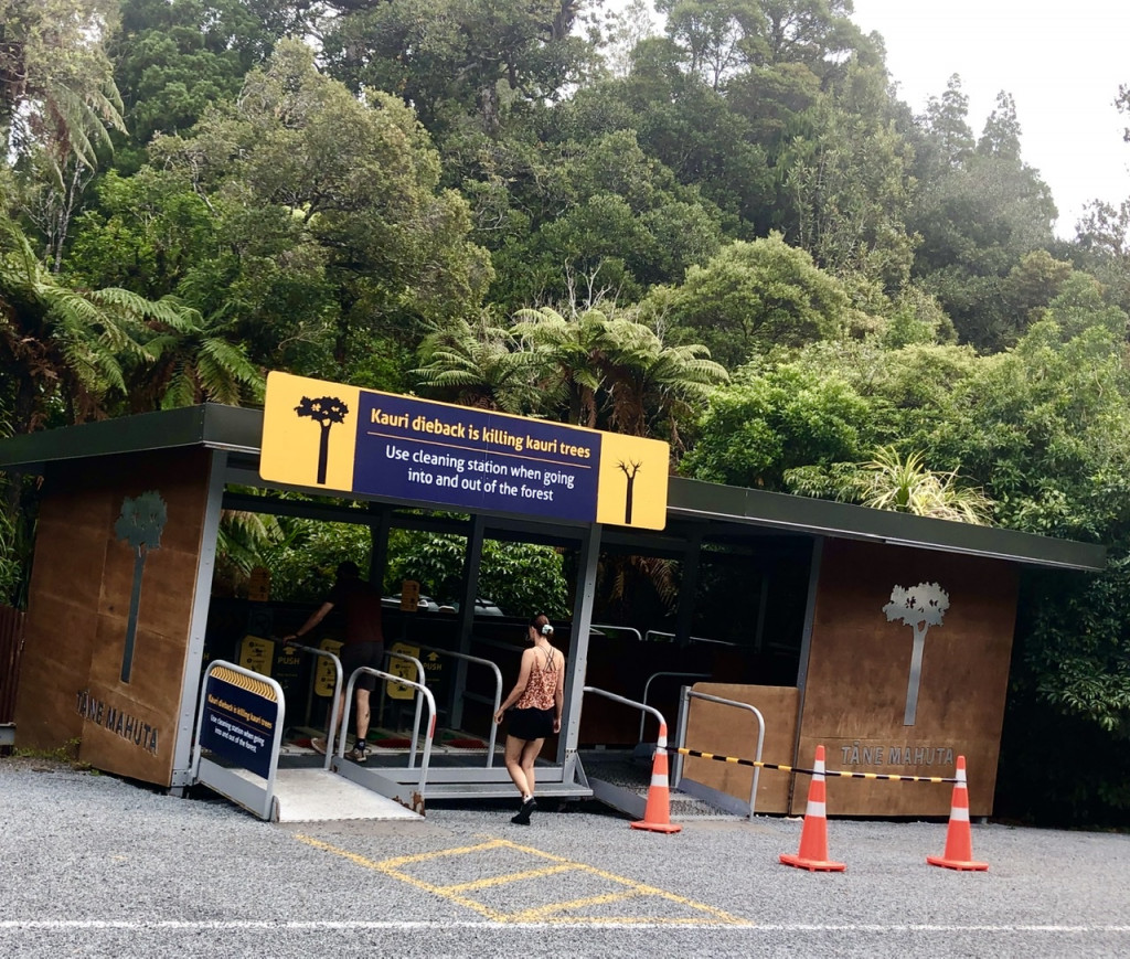 „Schuh-Waschanlage“am Waipoua Forest