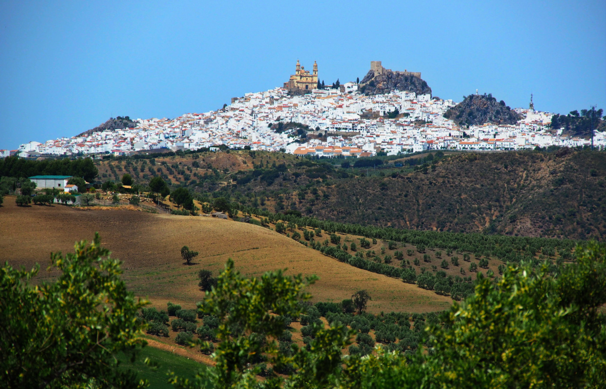 Blick auf Olvera