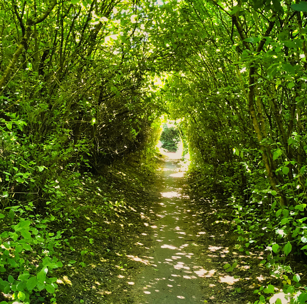 Lauschige Stelle am Themse-Wanderweg