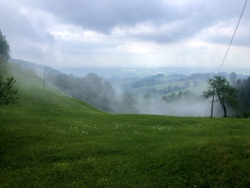 Landschaft kurz vor der Grenze Österreich/Slowenien an der L659