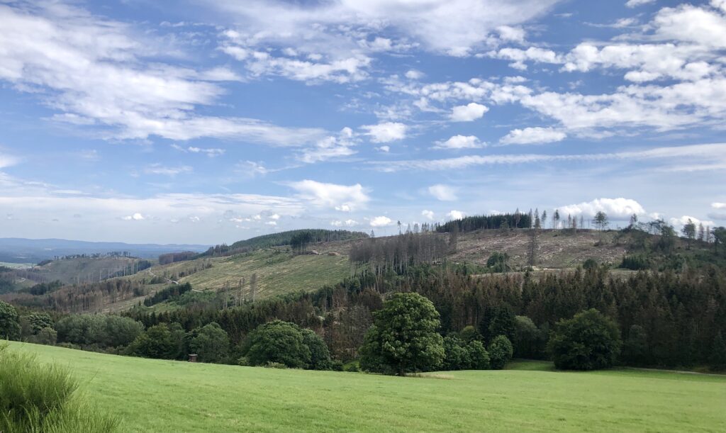 Waldschäden in der Region Bad Berleburg