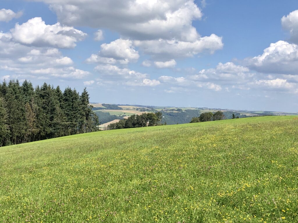 Irgendwo hinter Nachtmanderscheid