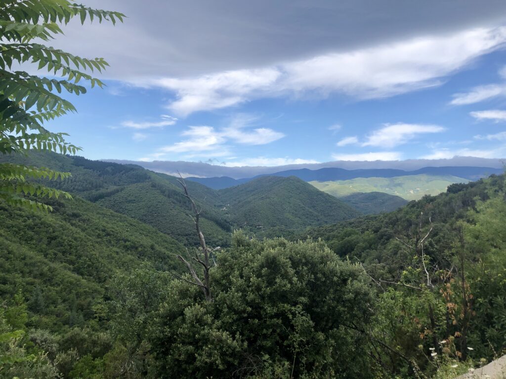 Schöne Aussicht auf der D11 bei Sumène