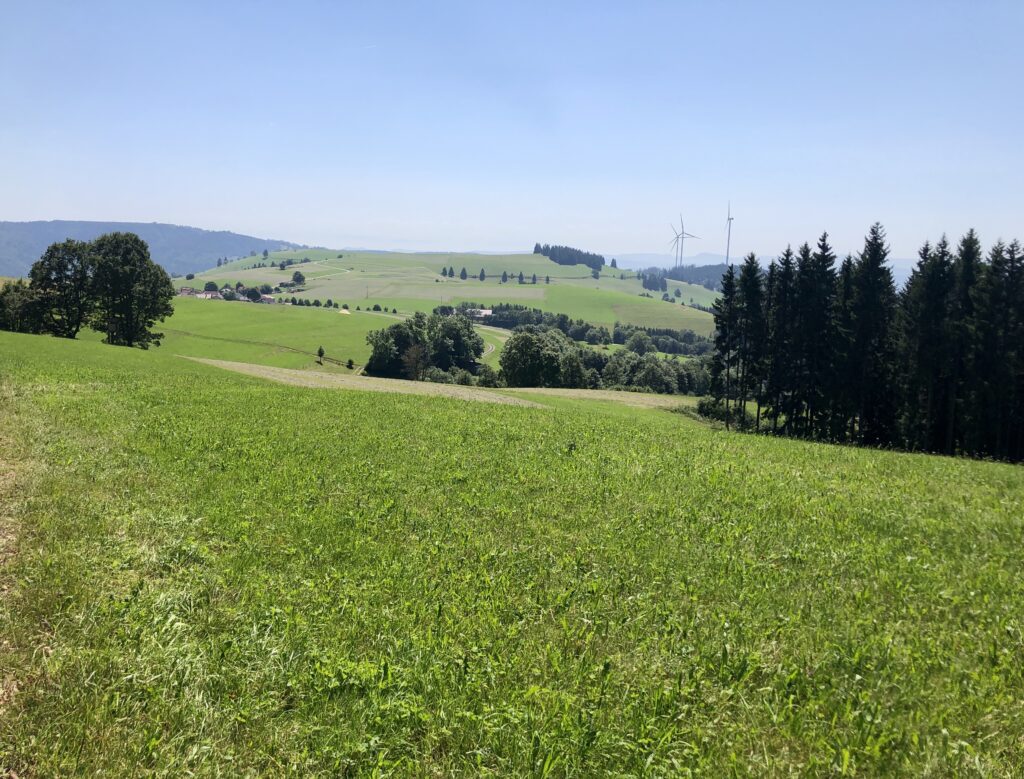 Ausblick nahe Zell im Wiesental