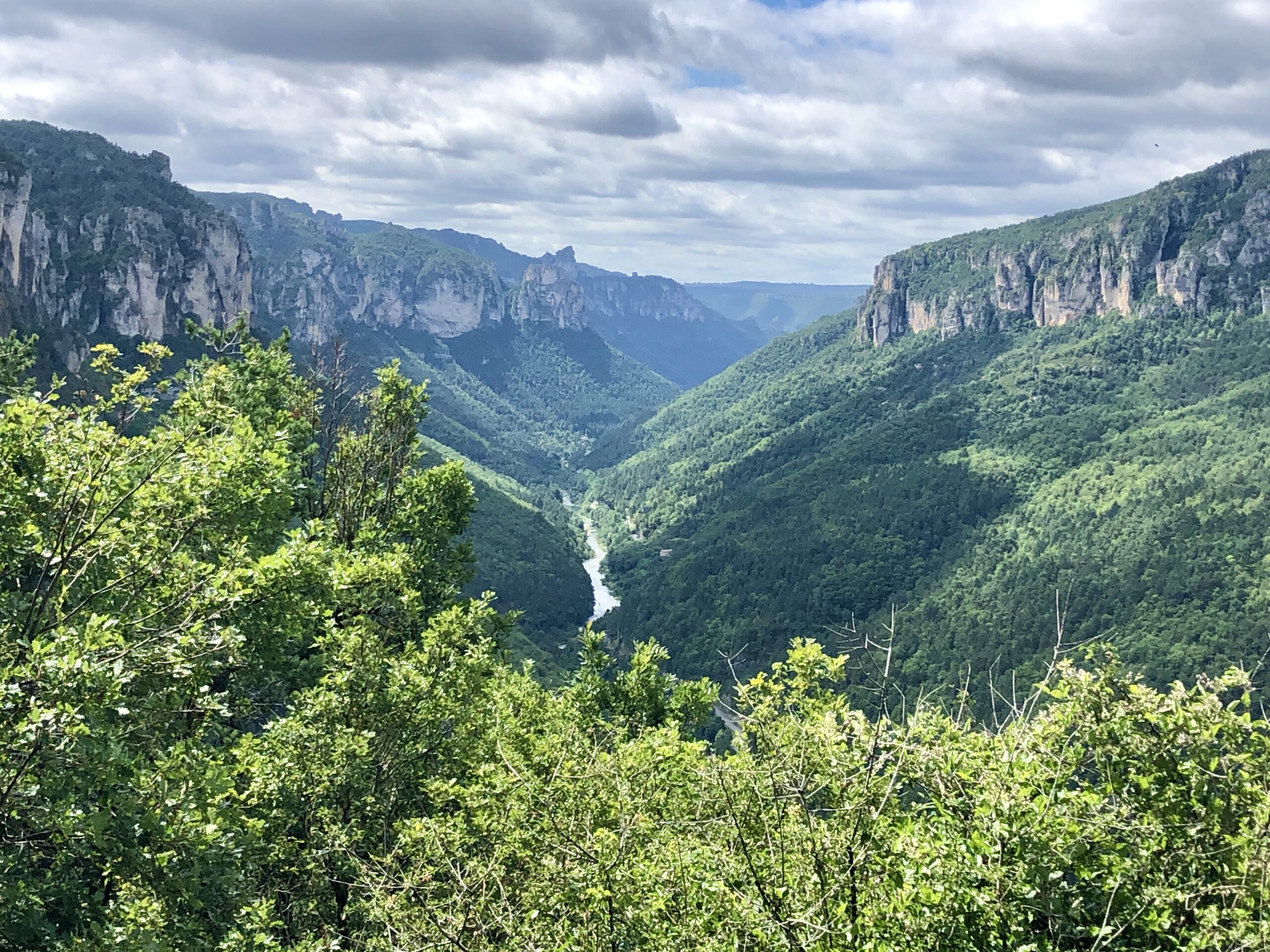 Gorges du Tarn