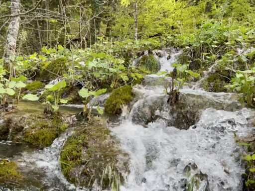 Plitvička Jezera