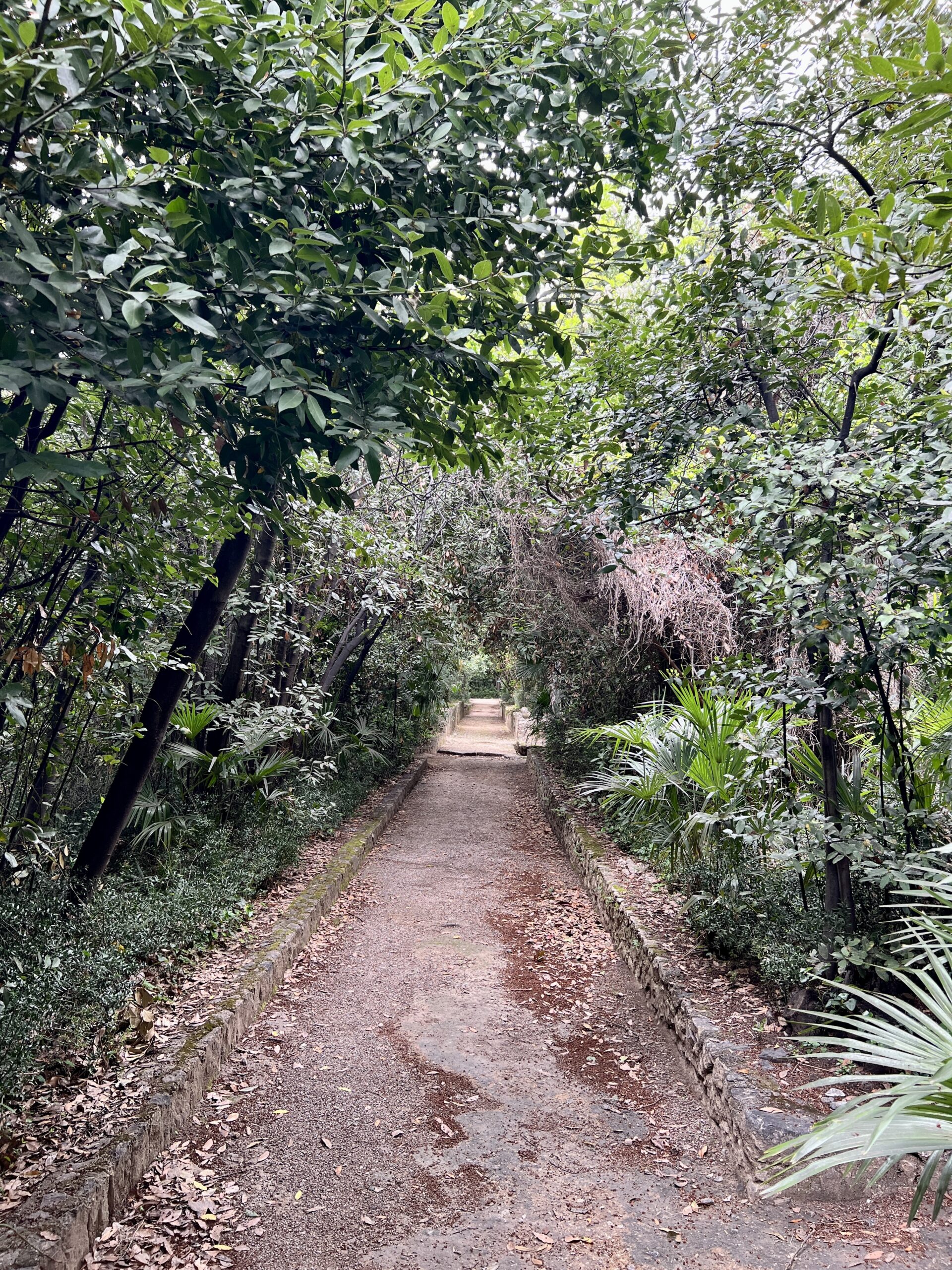 Weg im Arboretum