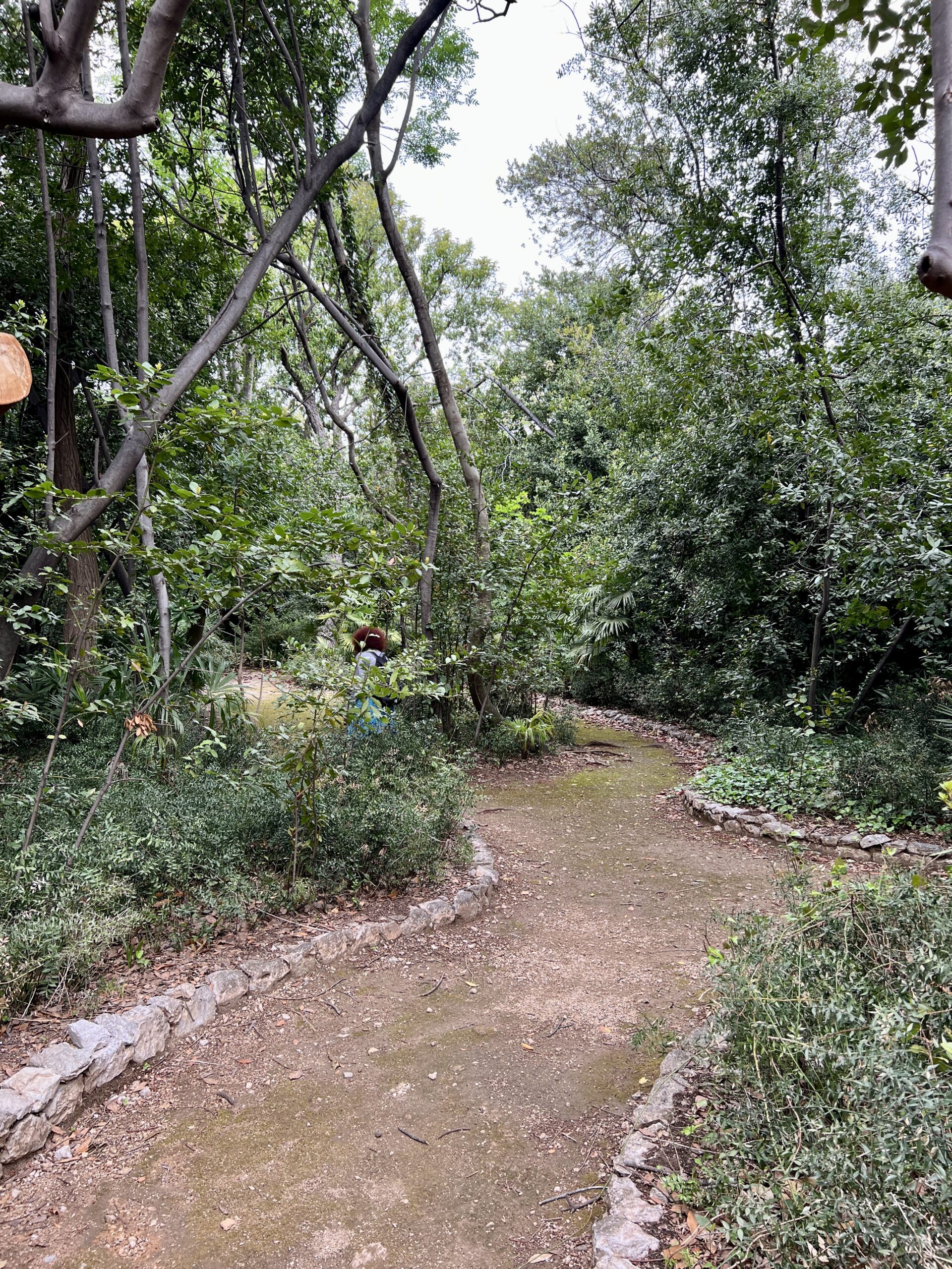 Weg im Arboretum
