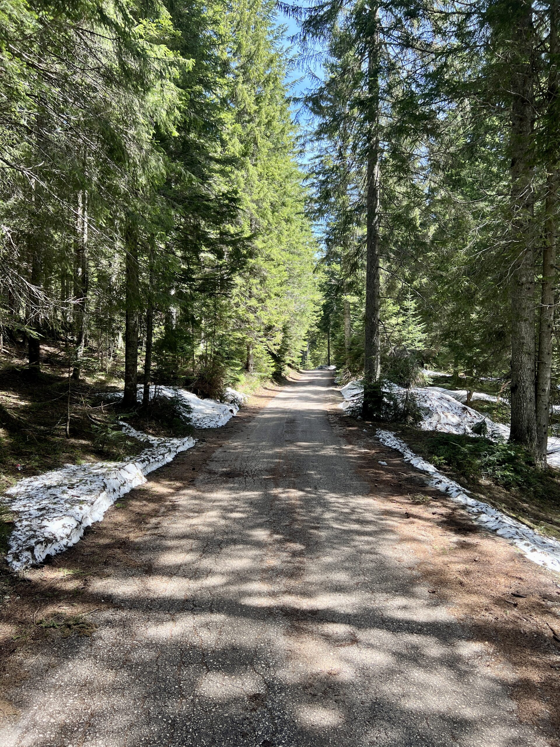 Wanderstraße zum Aussichtspunkt