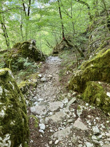 Gut aufbereiteter Wanderweg