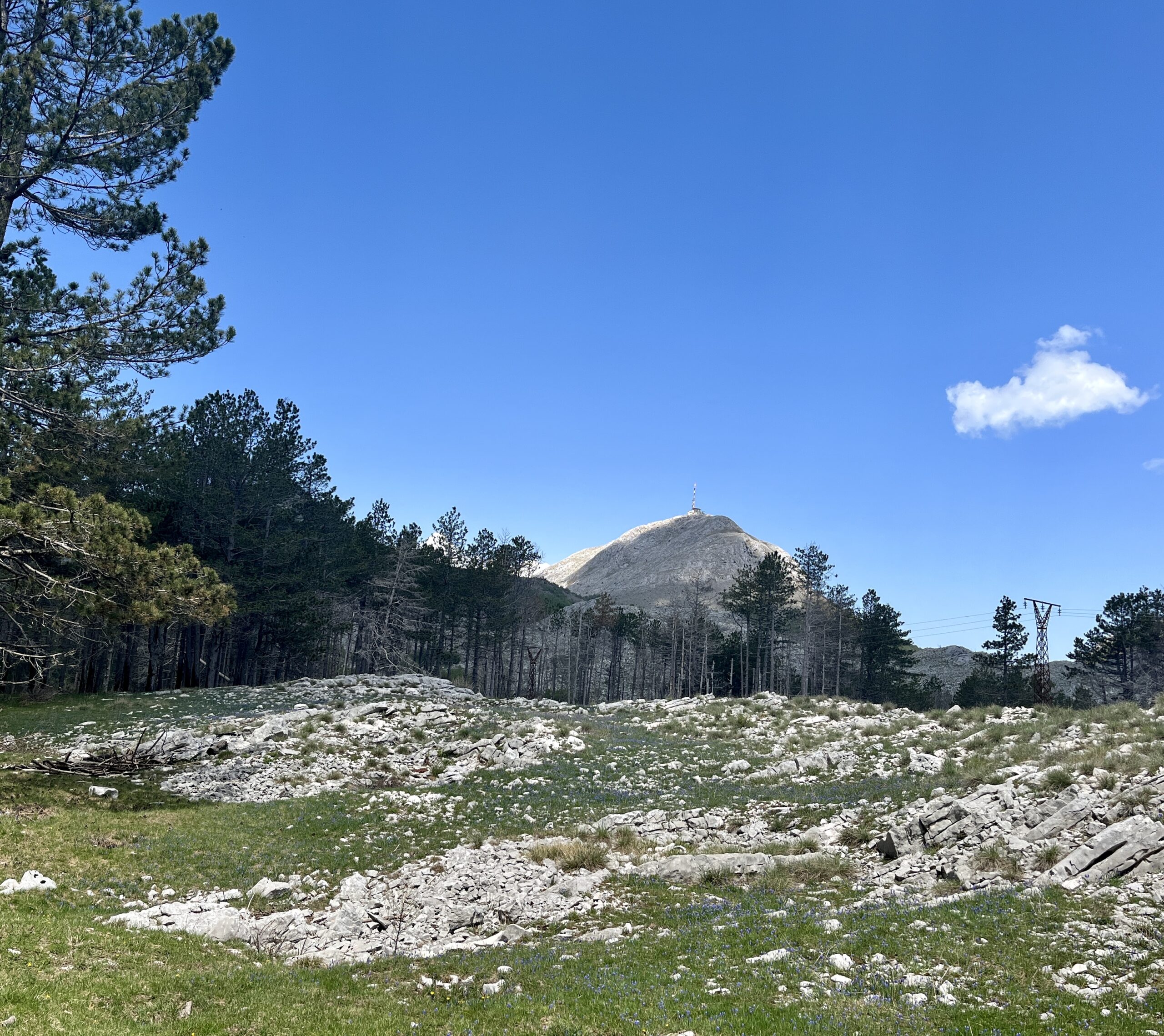 Blick über den Nationalpark Lovćen