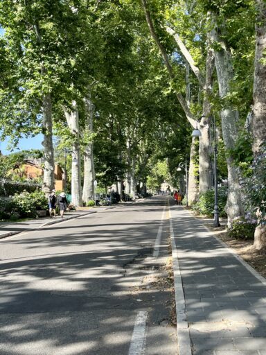 Platanenallee vom Strand zum Ortskern