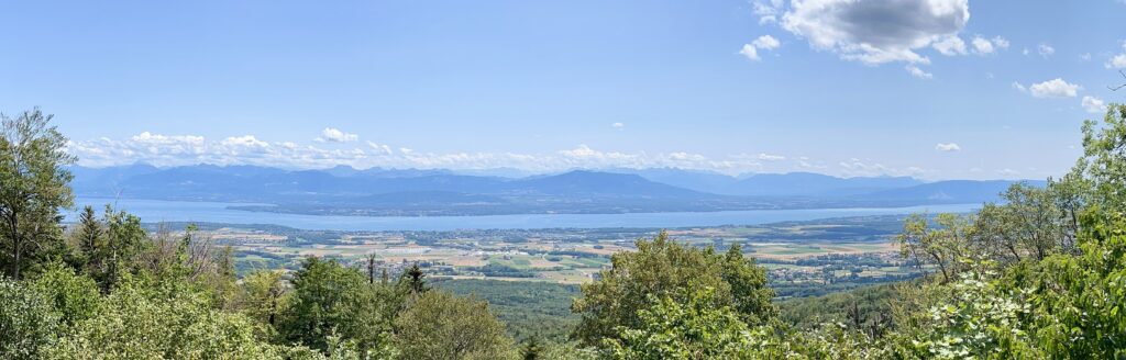 Genfer See vom Jura gesehen, nahe Nyon