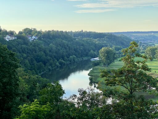 Neckar bei Bad Wimpfen