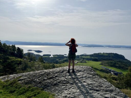 Blick auf den Nedstrandfjord