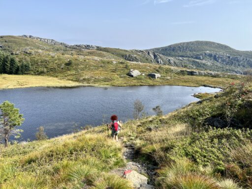 Weiter abwärts am Stora Badnavatnet vorbei