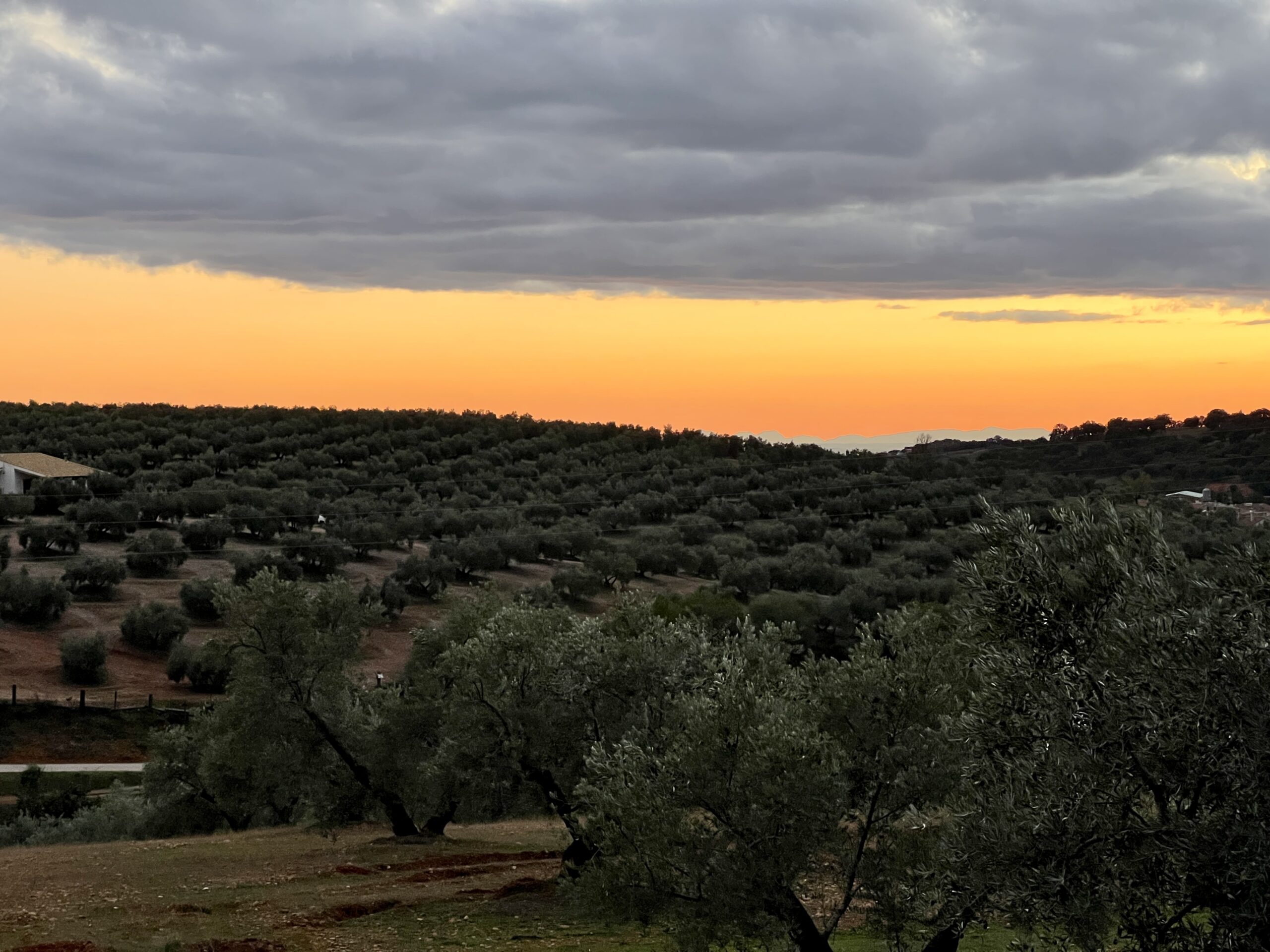 Abendstimmung am CP in Santa Elena