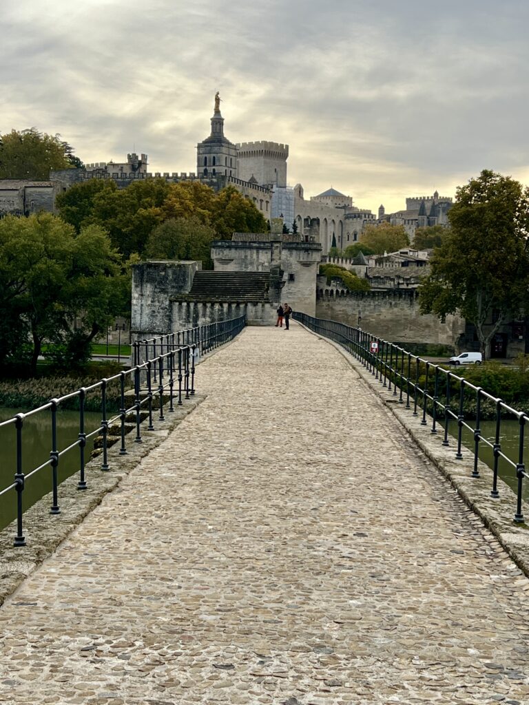 Blick von der Pont d'Avignon auf den Papstpalast