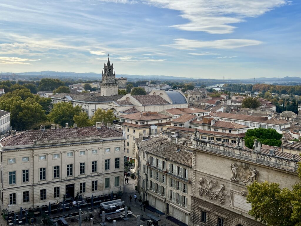 Blick vom Papstpalast auf die Altstadt von Avignon