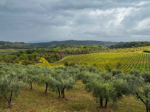 Blick von der Stadtmauer von Monteriggioni